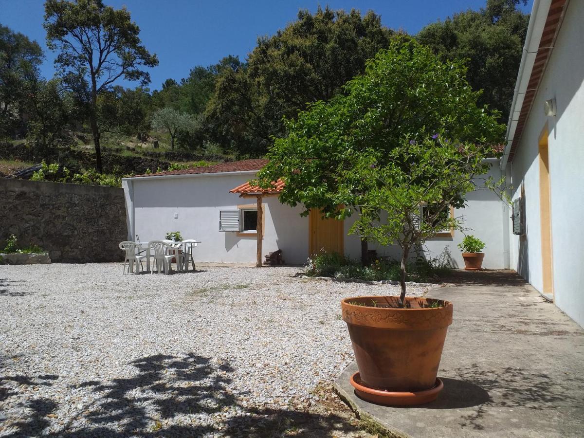 Гостевой дом Quinta Da Barroquinha Vale de Prazeres Экстерьер фото