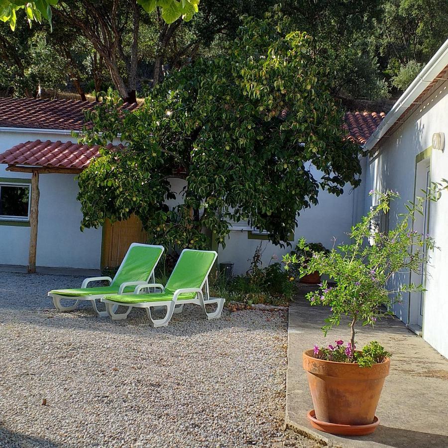 Гостевой дом Quinta Da Barroquinha Vale de Prazeres Экстерьер фото